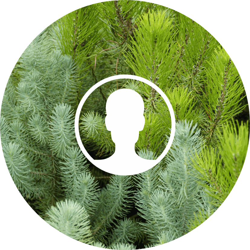 Home Ardmore Nurseries Ltd